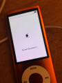 Patched disk mode on Nano 5G